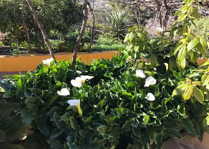 Casa Casilda Semesterbostad